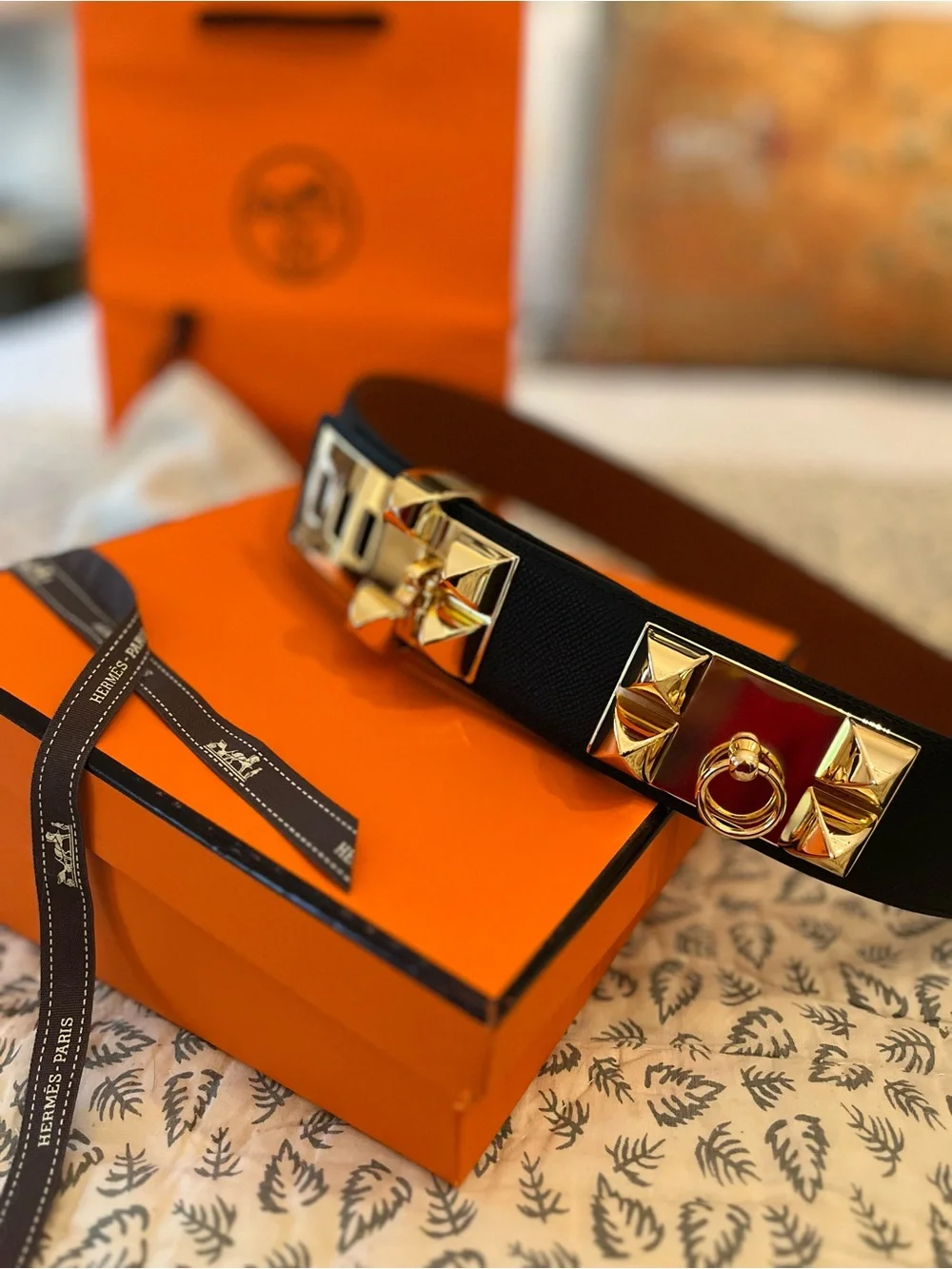 Black Leather Collier de Chien Belt with Gold Stud Hardware - Picture 6 of 11